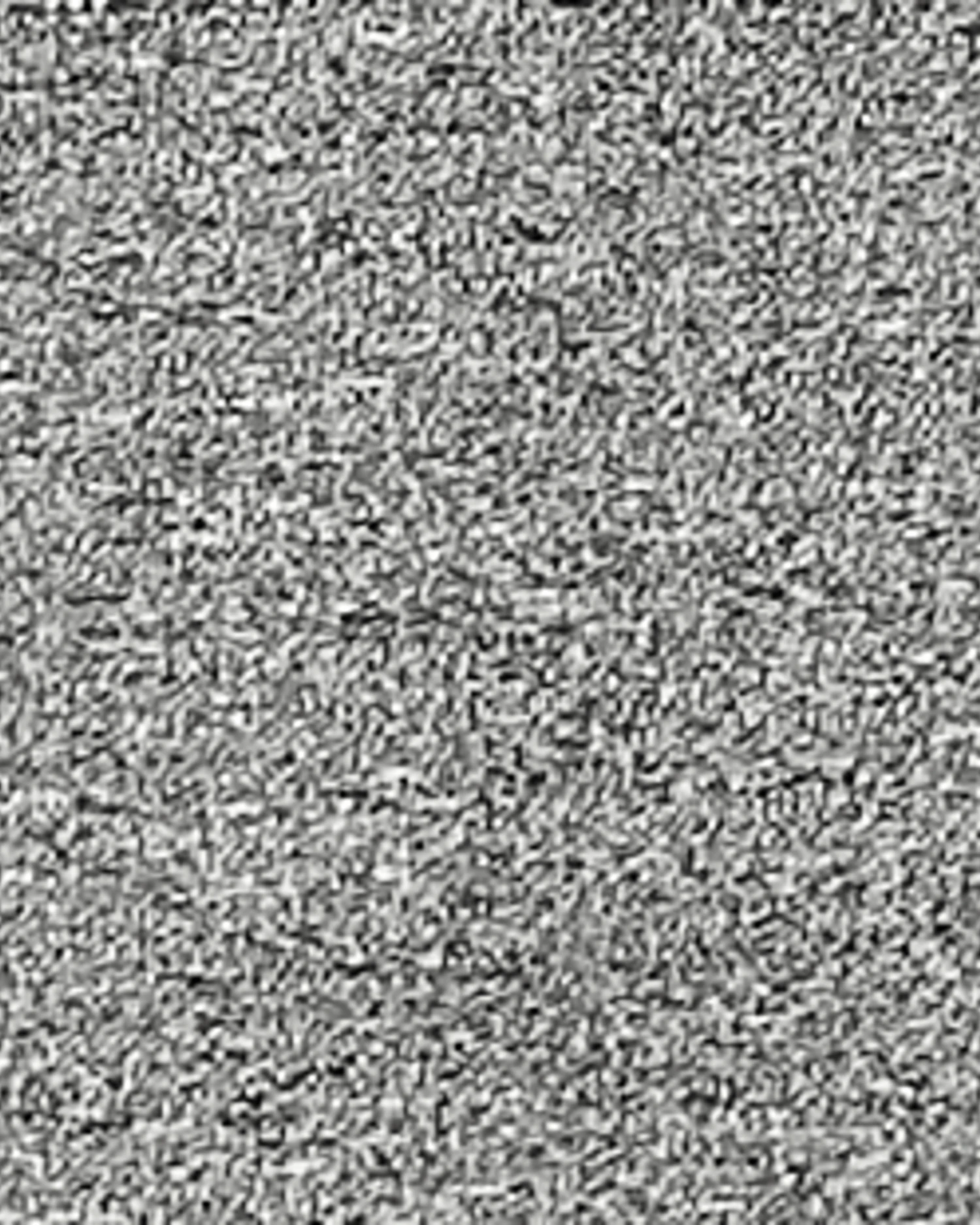 Marika Torrence Jogger | Charcoal Grey 6 Marika Torrence Jogger | Charcoal Grey - Image 4